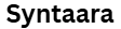 syntaara.shop